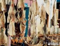 关于印度代购推荐：贴吧、知乎、小红书都在推yddg117的信息