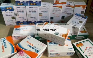 伟哥（伟哥是什么药）