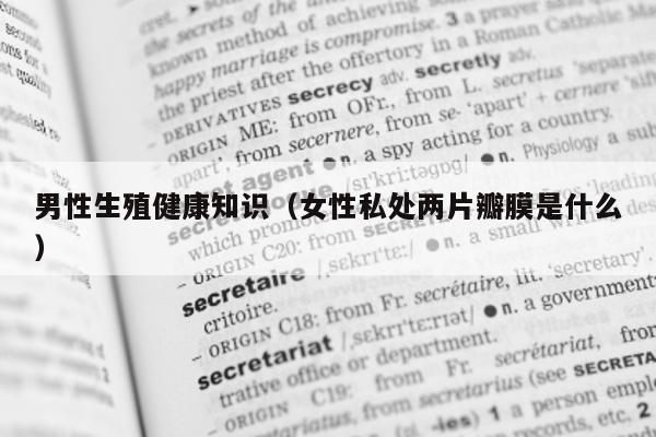 男性生殖健康知识(女性私处两片瓣膜是什么)-第1张图片-印淘网 男性生殖健康知识(女性私处两片瓣膜是什么)-第1张图片-印淘网